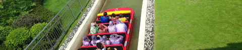 Chute Ride by Jinma Rides_Golden Horse
