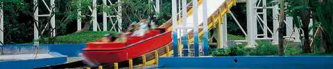 Chute Ride by jinma rides_Golden horse